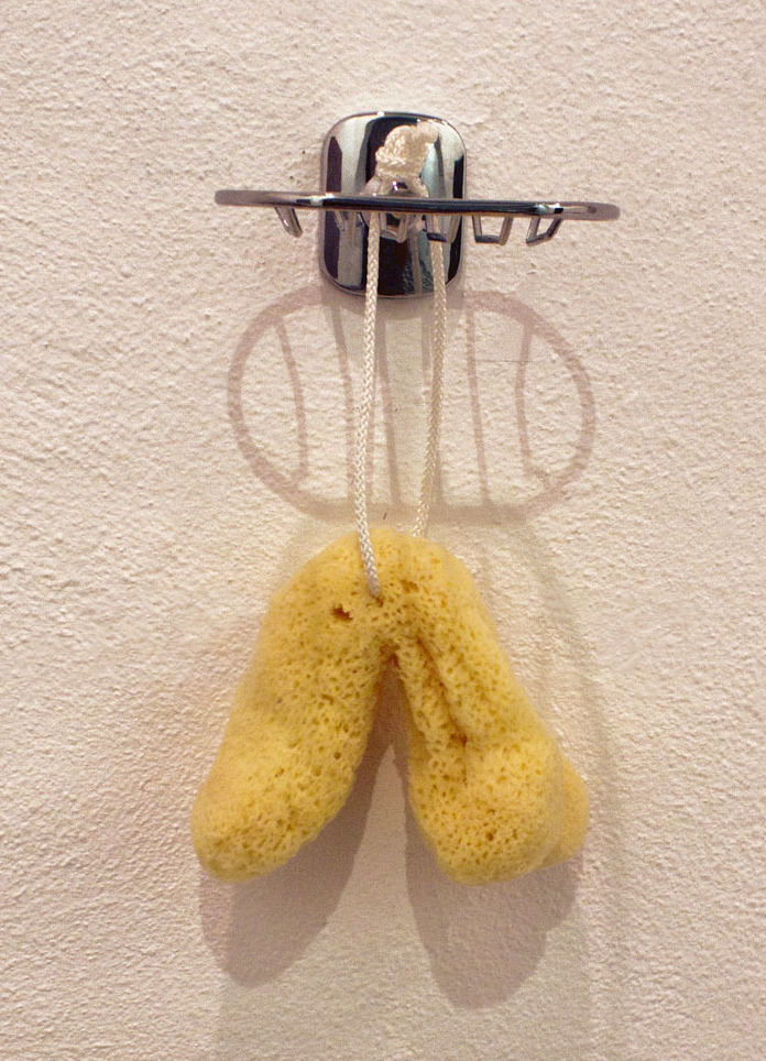 Cock Sponge, Willem Jan Smit