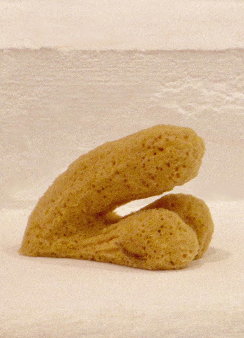 Cock Sponge, Willem Jan Smit